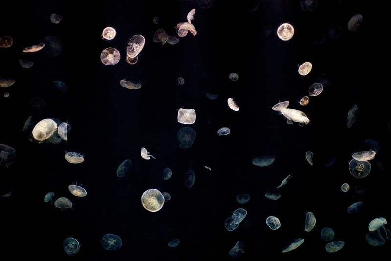 Origin of Life